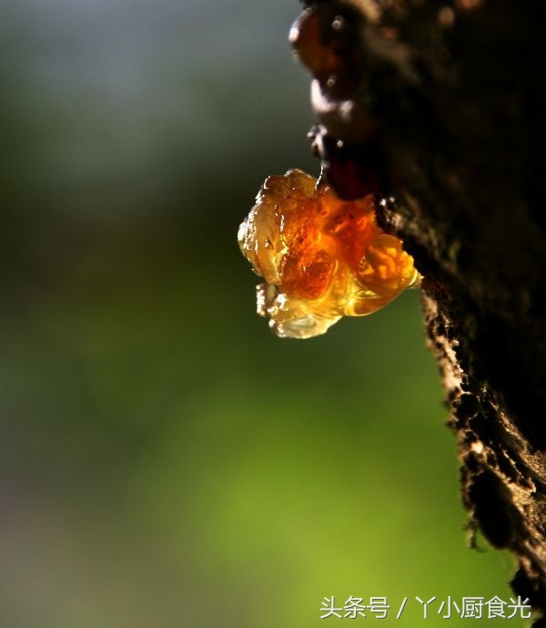 农村什么东西不能当垃圾,农村垃圾老物件