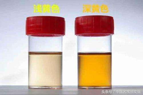 老中医告诉你湿气怎么回事,中医讲寒湿西医讲什么