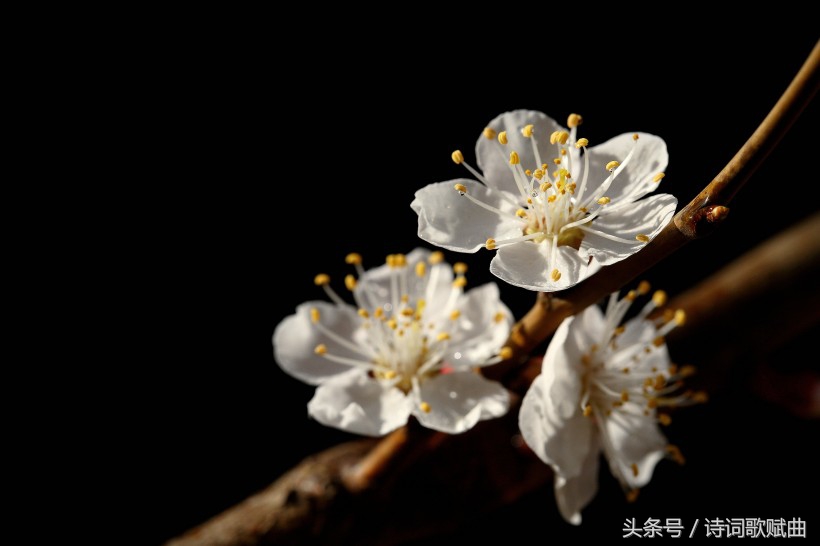 南怀瑾一切修行皆在修心,南怀瑾人生哲理经典语录