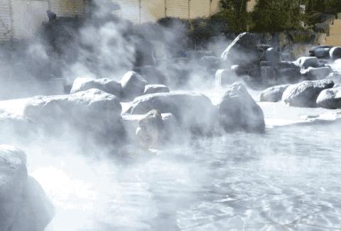 青海十大宝藏之谜,青海的温泉怎么样