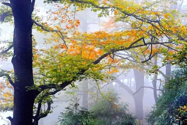 不要去杭州,杭州西湖值得去的地方