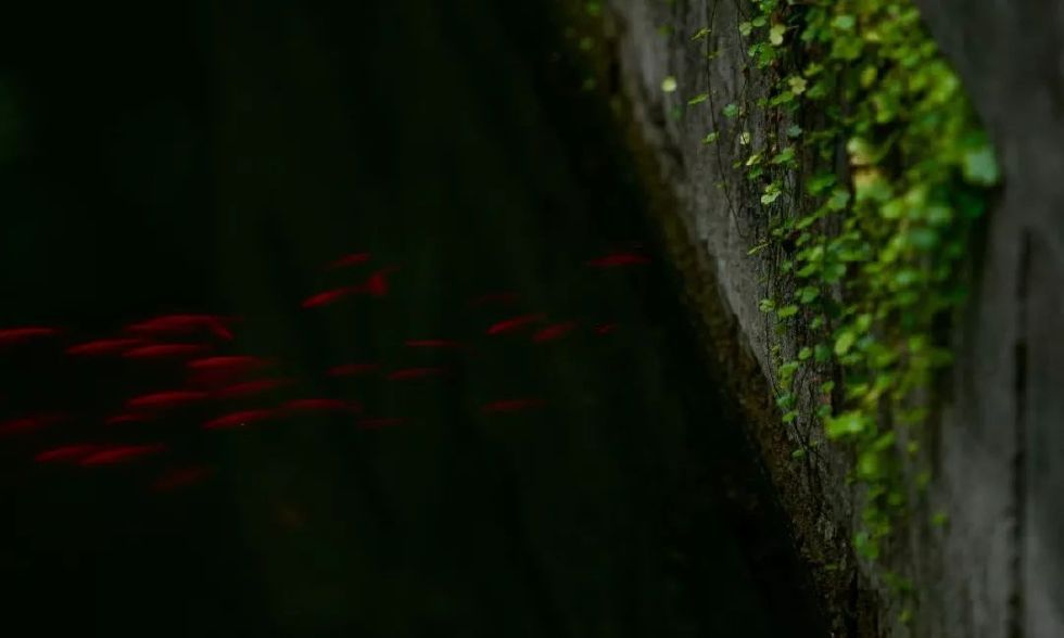 古有“九雅”，忘忧释怀丨私享·仿古