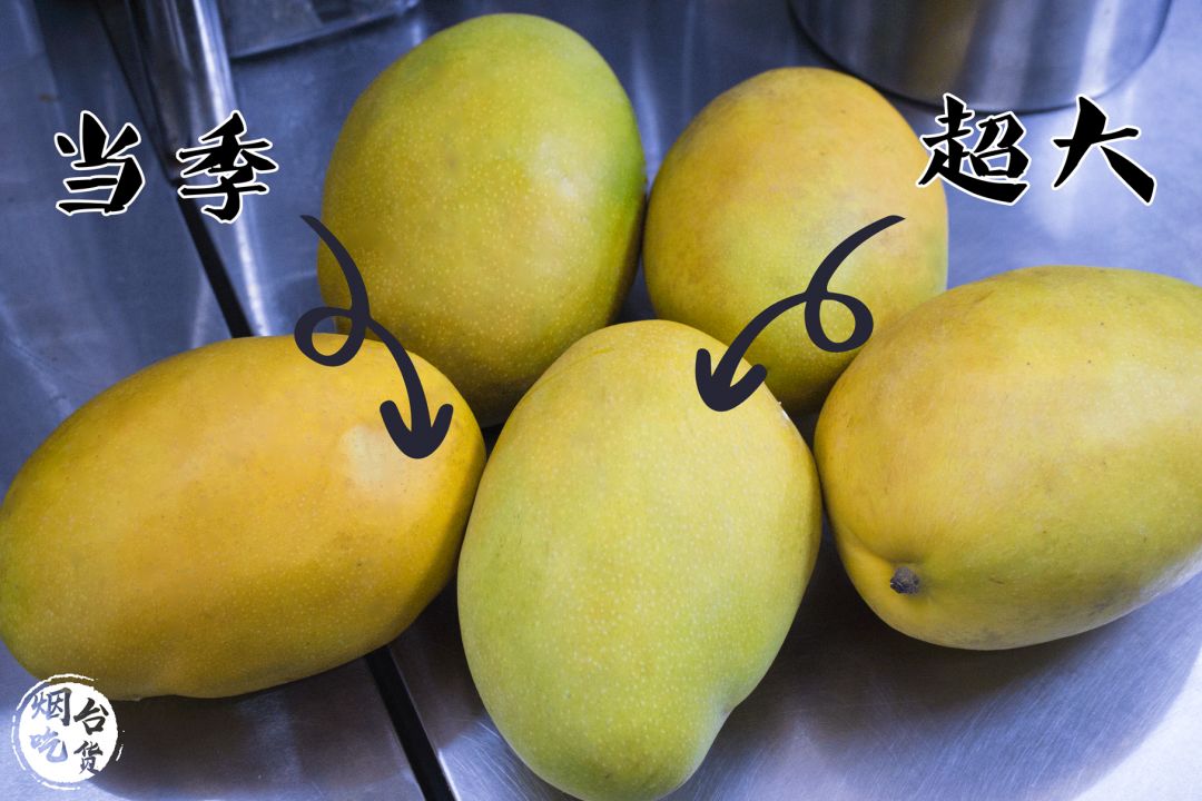 泉州泰茶,素匠泰茶为何这么火