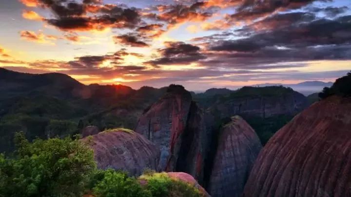秋在广东很珍贵，若不细心寻找，它便静静地离开了
