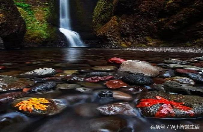 鬼谷子等十部书都有什么,鬼谷子写的什么经