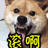 用过就不想丢掉的单品,最近日版防晒