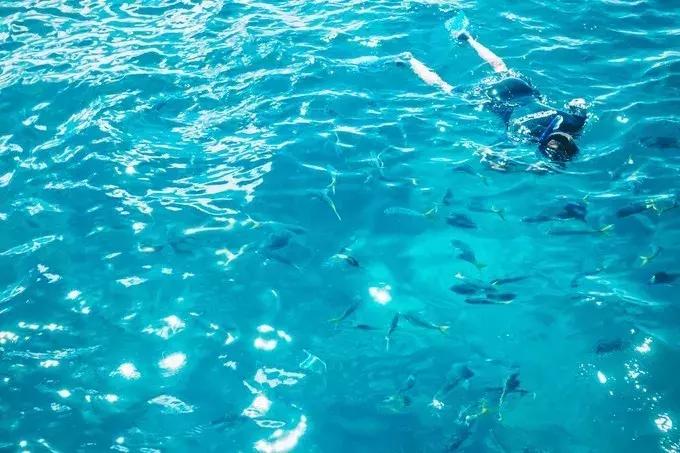 澳大利亚凯恩斯大堡礁旅游,凯恩斯绿岛大堡礁游记