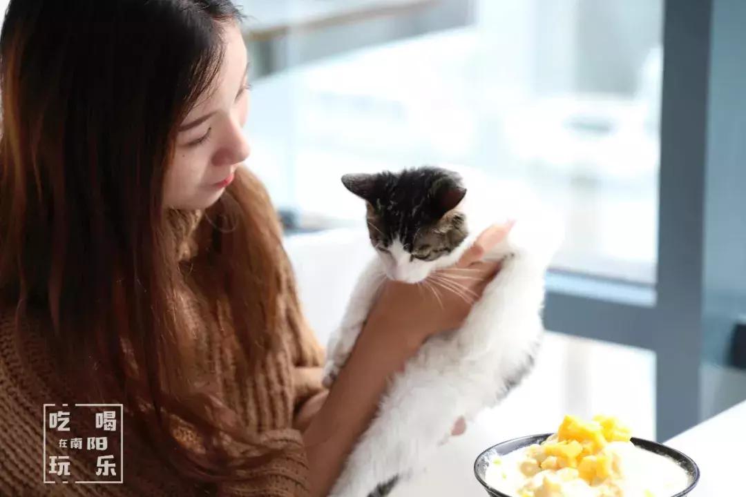 南阳shou家全透明撸猫咖啡馆！有手臂长的牛排！面包届的法拉利！