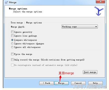 svn使用教程总结,ideasvn使用教程