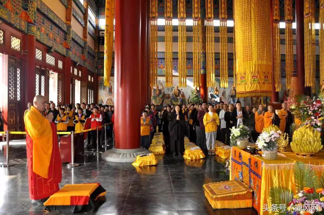 重阳节要怎么敬老,重阳节你是怎么敬老的