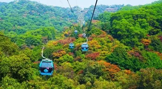 重阳登高游玩攻略,重阳节去登高最佳方案