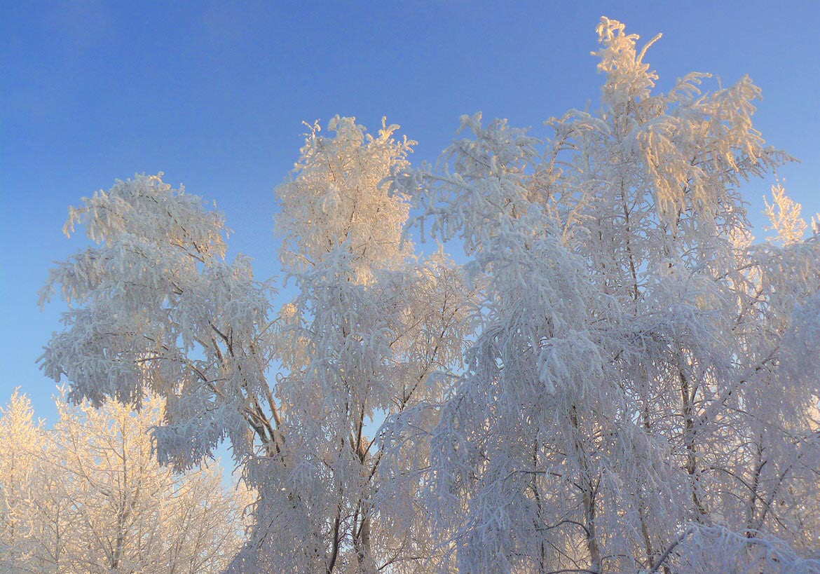 高iso感光度照片怎么变清晰,如何调iso和快门速度