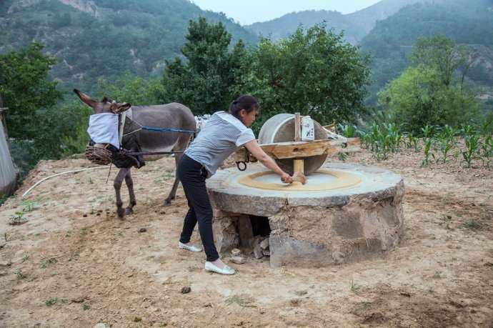 熬出久违的米油，好喝养胃！给家人最好的呵护！