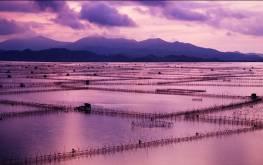 单反数码摄影入门教程,数码单反摄影进阶完全教程