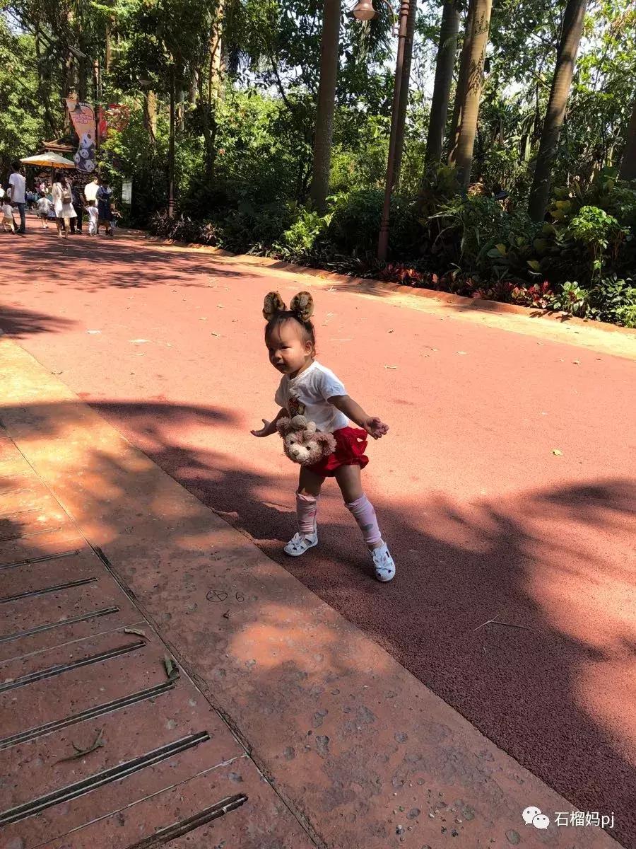 长隆欢乐世界和长隆野生动物园,广州长隆野生动物园侏罗纪公园