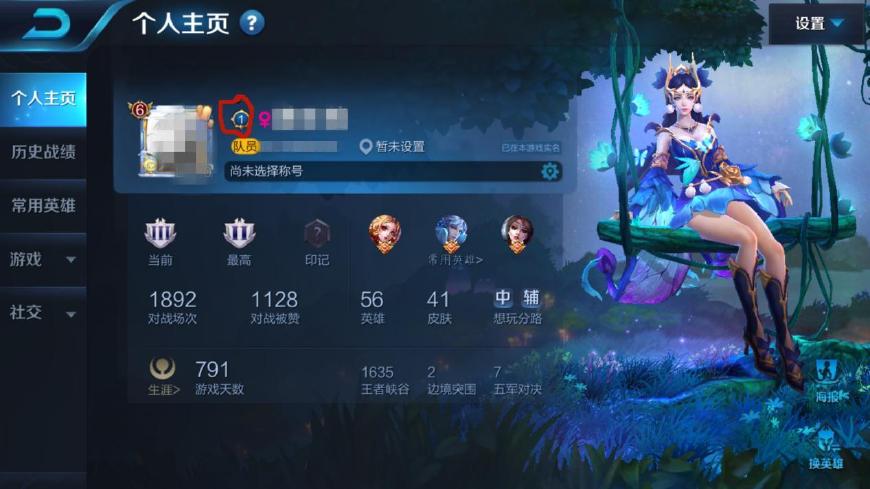 王者荣耀各数值解析,王者荣耀各数值说明