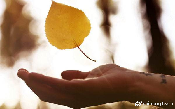 HK50A50市场中存在那些你不知道的猫腻?喊单老师的分析可信吗?