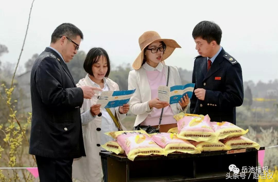 岳池最近发展,岳池未来如何发展