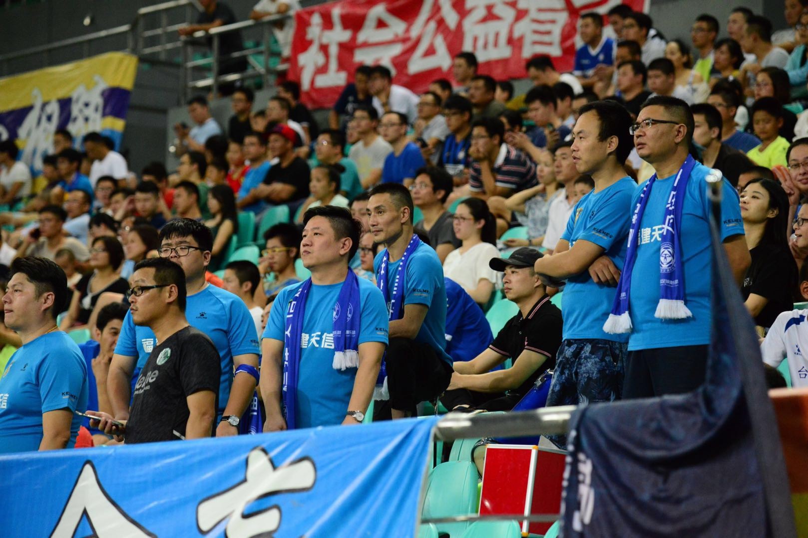 秋日中的一抹紫色,秋日里的一抹嫩绿