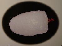 古玉塑料质感,黄色古玉一般什么材质