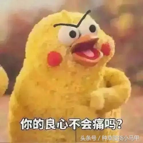 假货都有洗白的套路了！网友：鸡皮疙瘩掉一地