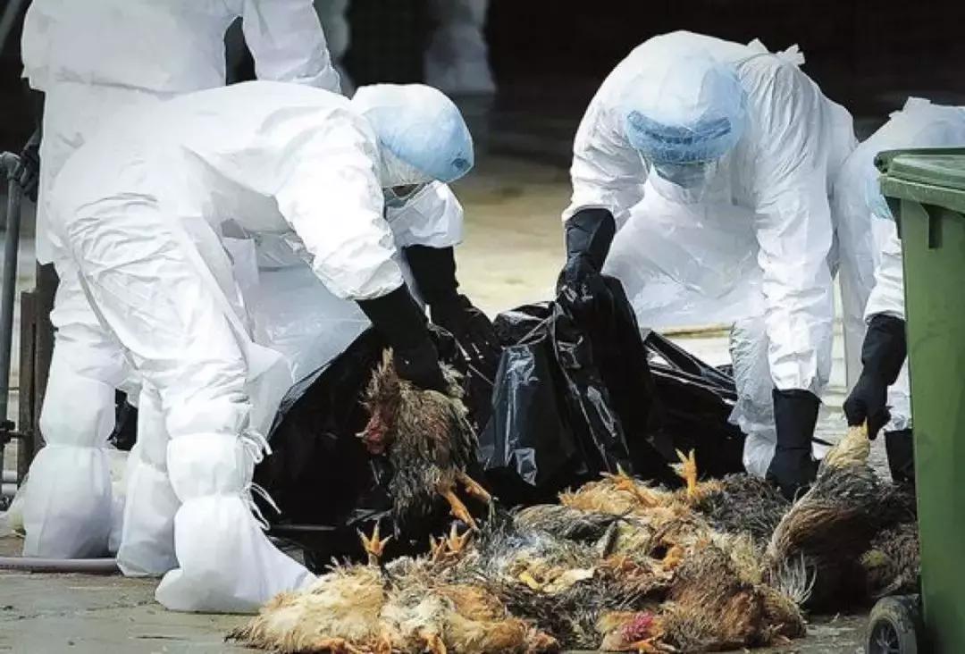 灾难纪录片真实事件,非常震撼的灾难片有哪些