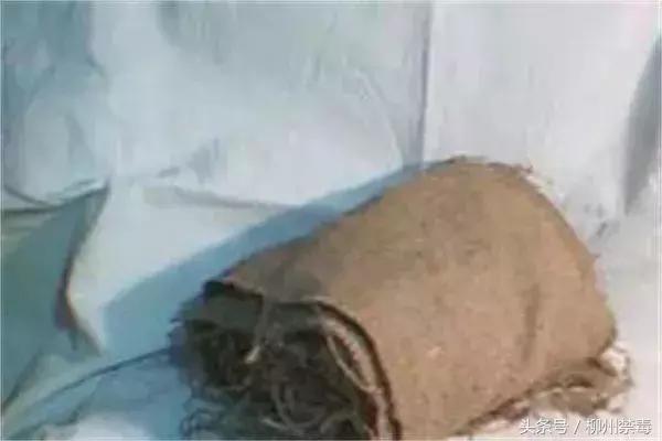 禁毒创示范柳州在行动,柳州禁毒创示范