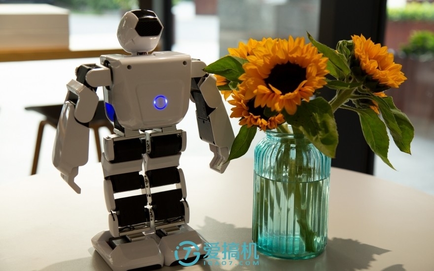 阿尔法悟空机器人评测,aelos智能机器人基本教程