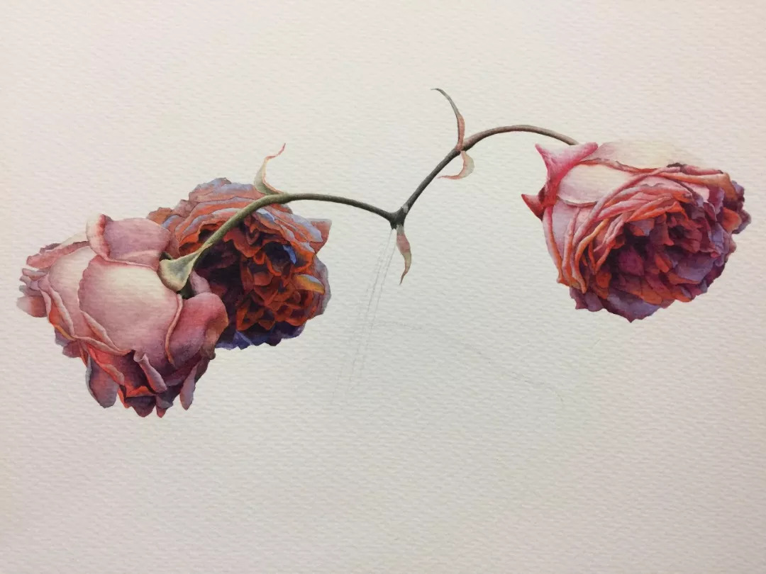 情人节用丙烯画画,情人节教我们画玫瑰