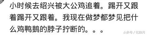 以前小时候小腿上长疮怎么回事,小时候小腿上莫名长包灌脓