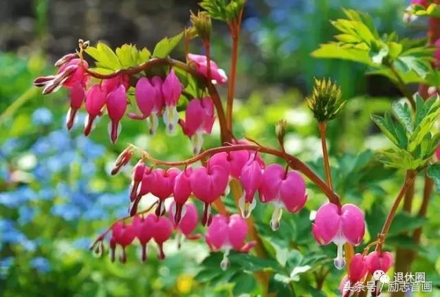 最实用的成语集锦,史上最全成语分类汇总