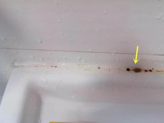 装修用的玻璃胶有甲醛吗,装修玻璃胶有甲醛含量