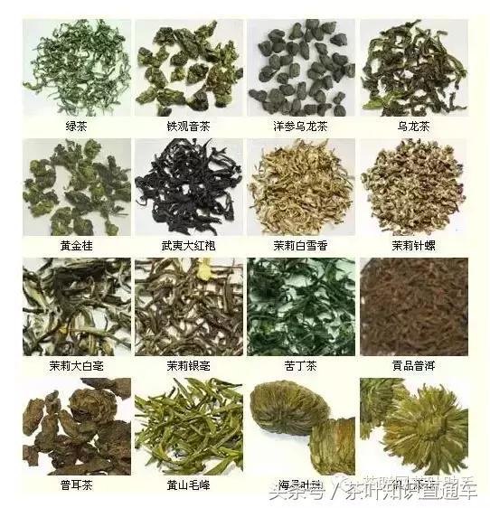 中国茶分类红茶绿茶花草茶养生茶,中国六大类茶排名
