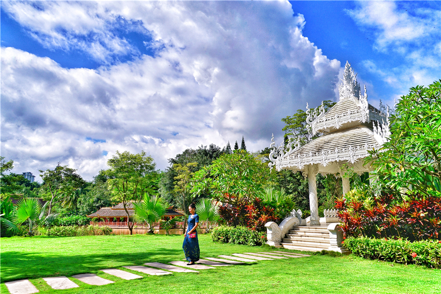 秀丽神奇的西双版纳完整版,云南西双版纳神奇的地方