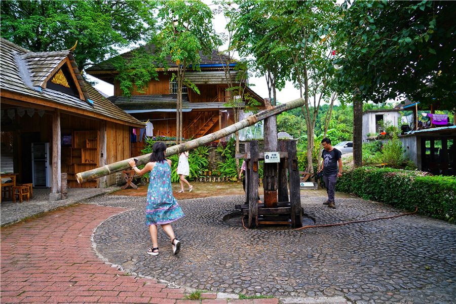 秀丽神奇的西双版纳完整版,云南西双版纳神奇的地方