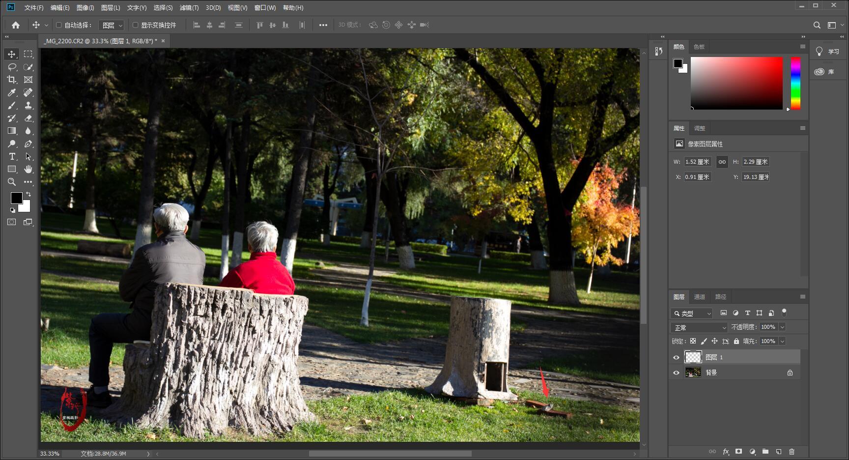 pscc2017教程工具栏基本命令,pscc2019教程图的大小