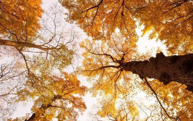 定了！上海又一条铁路获批，30min到湖州，还连接起了苏州！