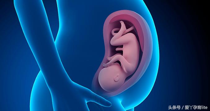 准妈妈孕十月养胎攻略