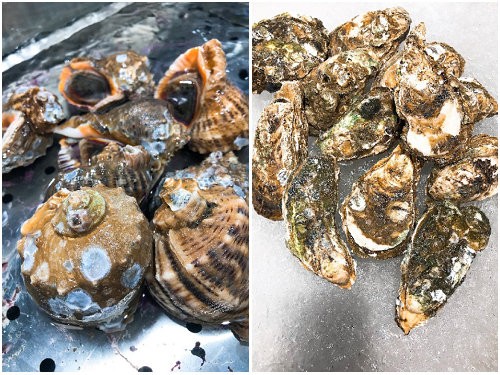 不输三亚第一市场！合肥这家店的波龙海胆帝王蟹……简直太zán了