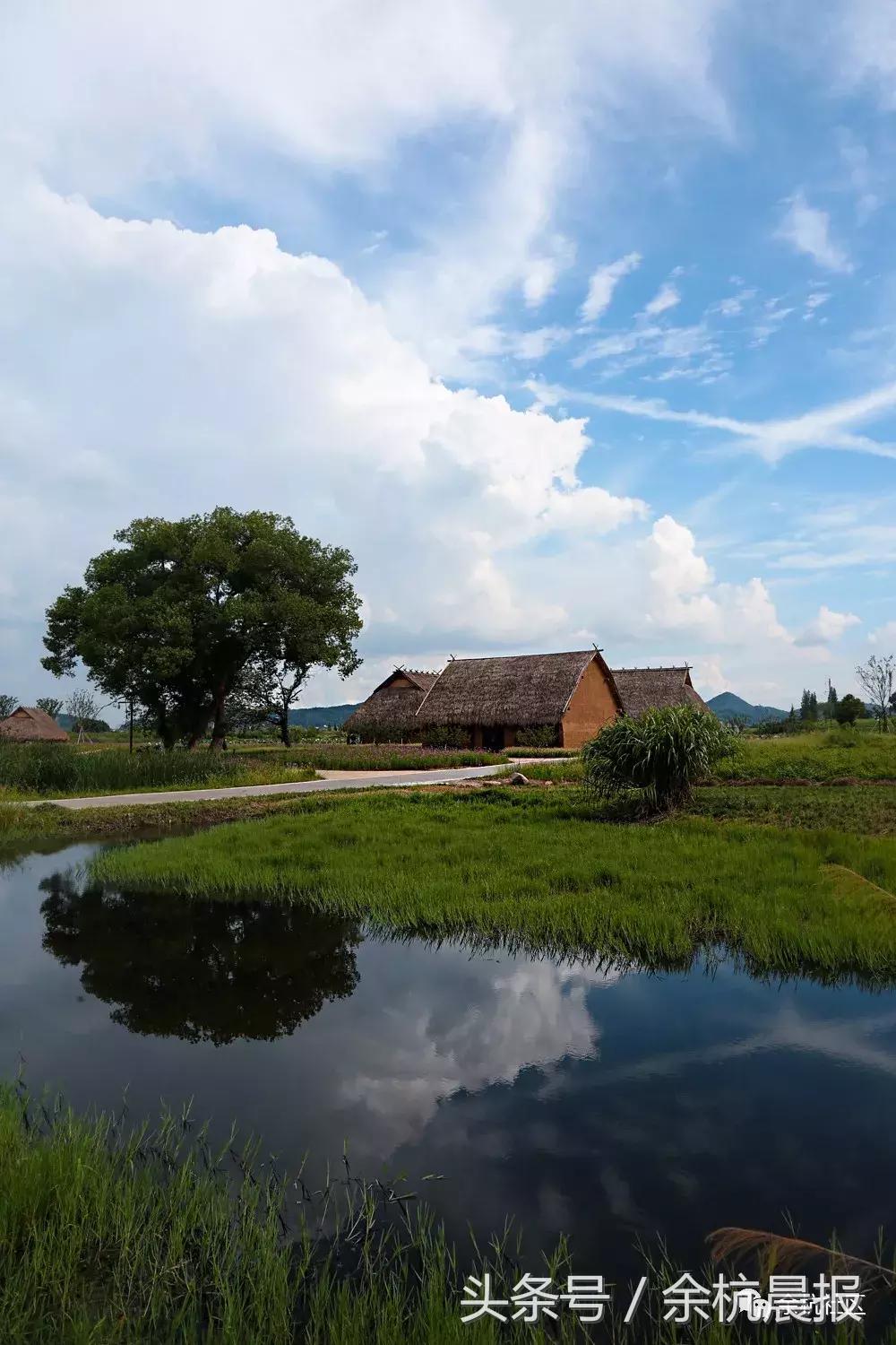 9090000㎡！余杭新增一大型公园，1299个足球场大！