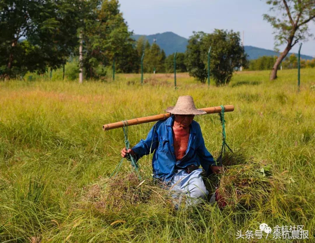 9090000㎡！余杭新增一大型公园，1299个足球场大！