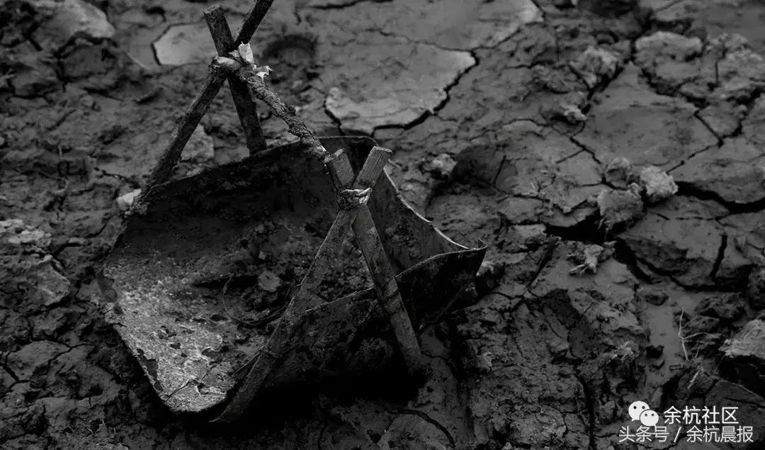 9090000㎡！余杭新增一大型公园，1299个足球场大！