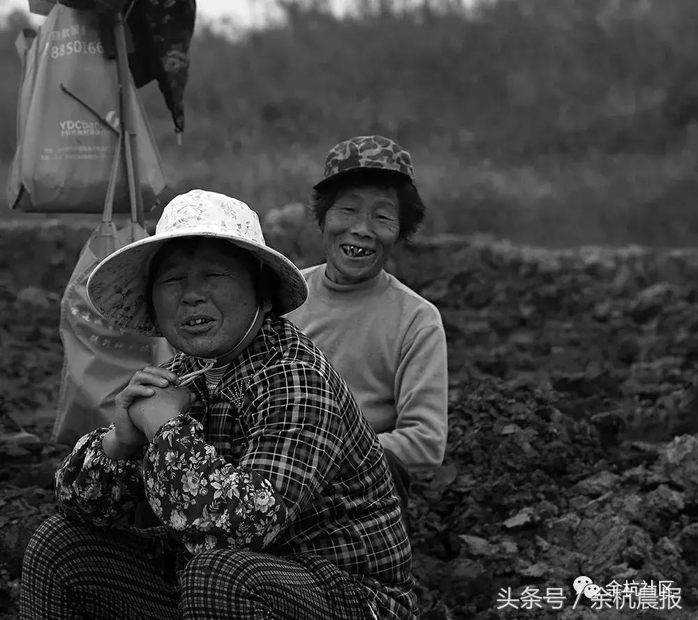 9090000㎡！余杭新增一大型公园，1299个足球场大！