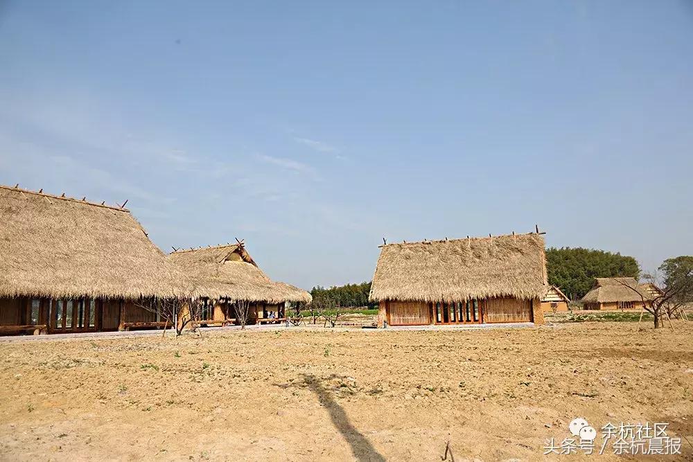 9090000㎡！余杭新增一大型公园，1299个足球场大！