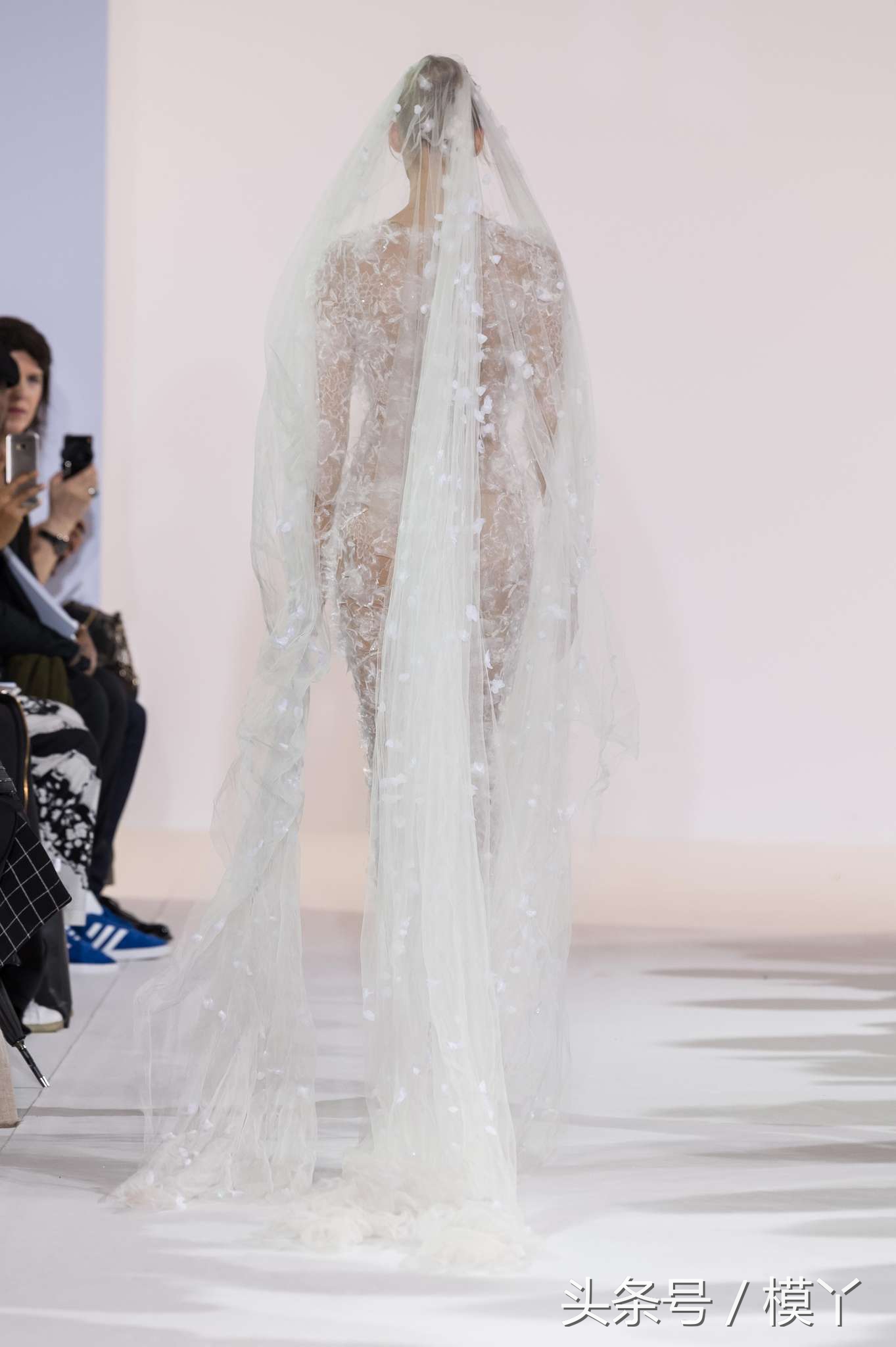 celiakritharioti楂樺畾,celiakritharioti濠氱罕