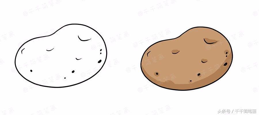 绘画蔬菜成长记,蔬菜成长记绘画图文