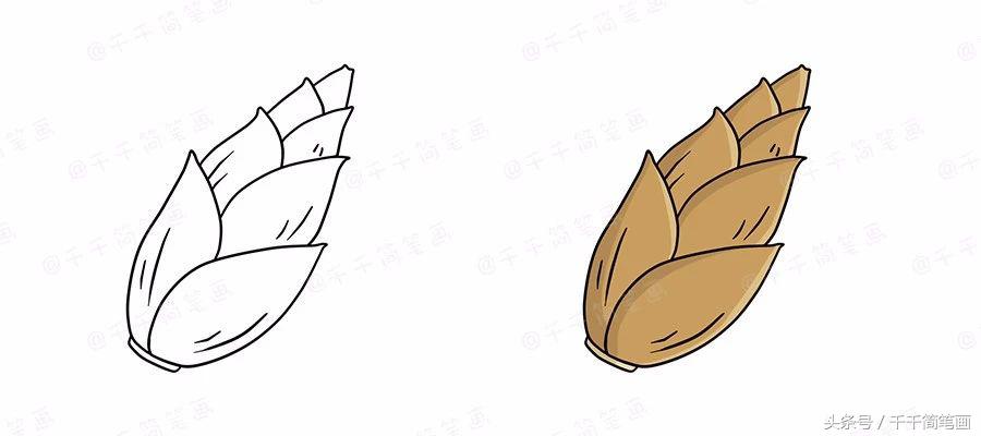 绘画蔬菜成长记,蔬菜成长记绘画图文