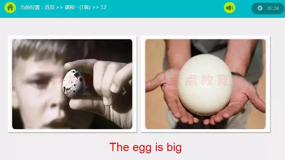 为什么越来越多家长报名早教,小孩子学英语启蒙什么课程好