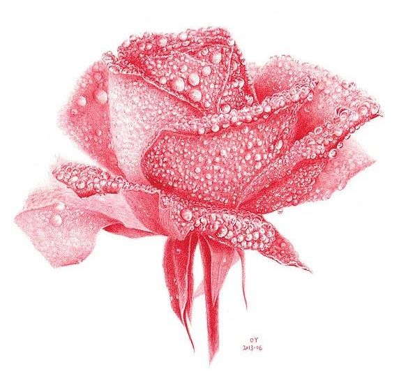 八大圆珠笔,顶级圆珠笔画欣赏