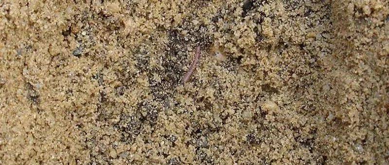 水价制定的基本原则,水价制定的方法有哪几种